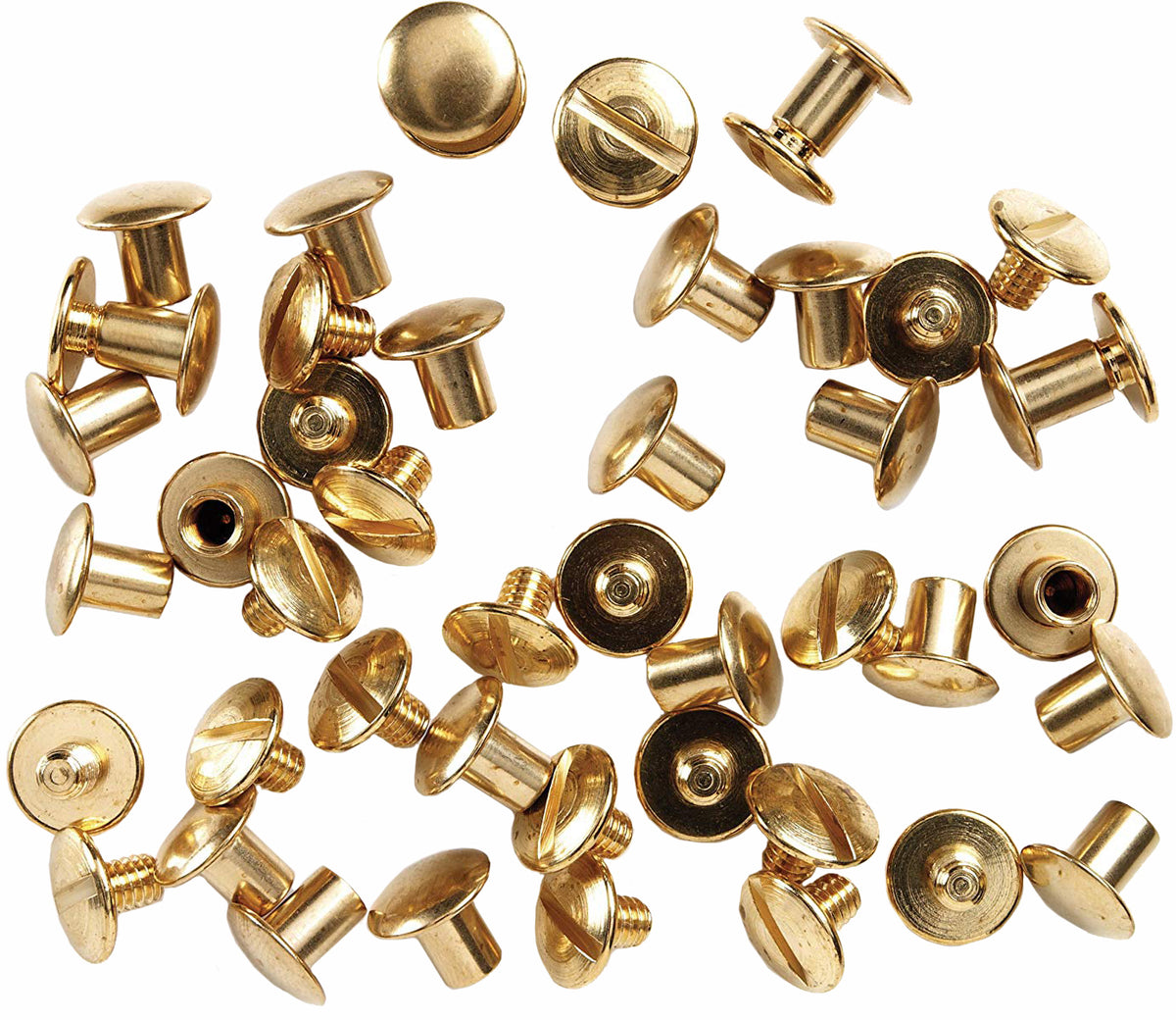 Chicago Screw - 1 Unit