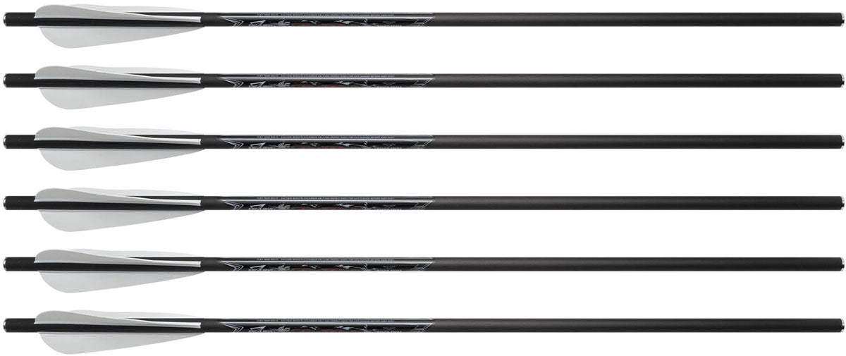 FireBolt Carbon Arrows - 6/PK