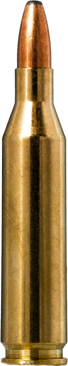 Oryx Ammunition