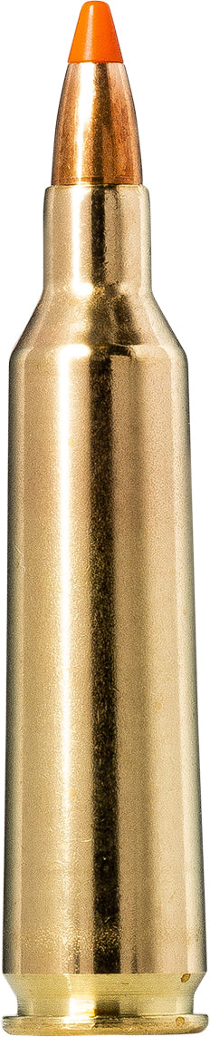 Tipstrike Varmint Cartridges