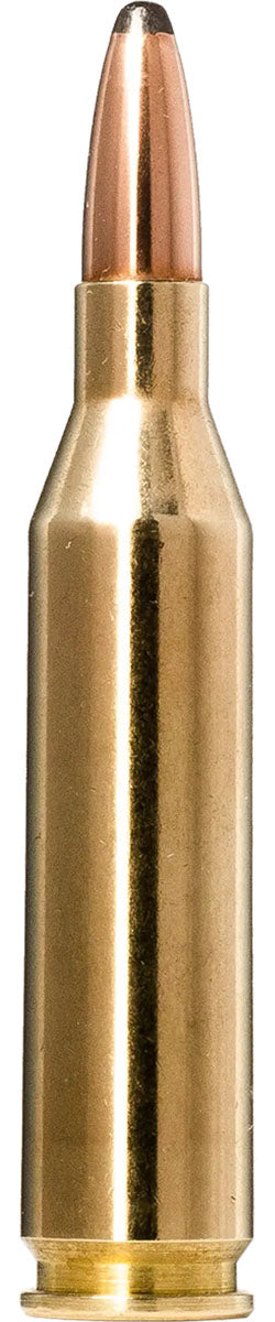 Whitetail Centrefire Cartridges