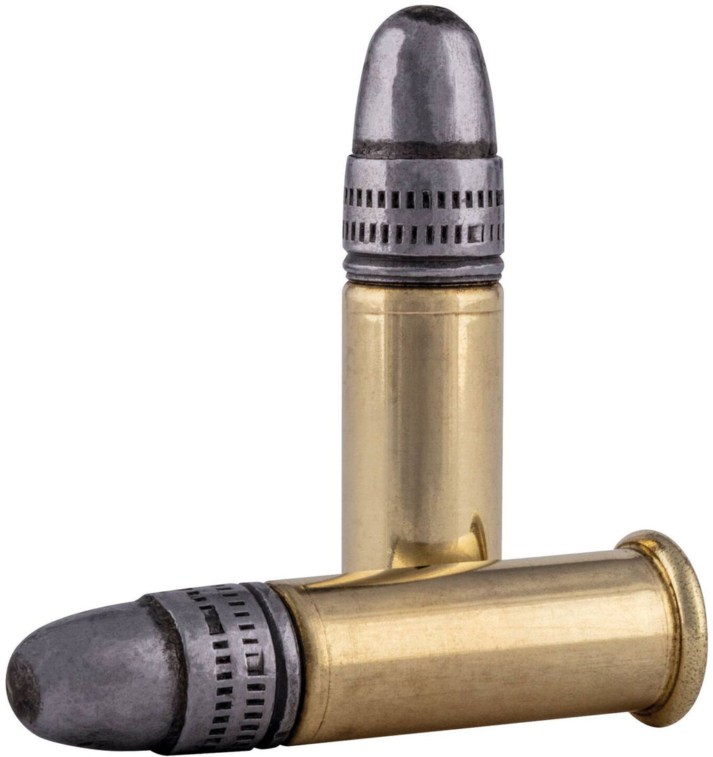 Champion 22 LR cal Cartridges - 40 gr - Lead Round Nose - 50/Box